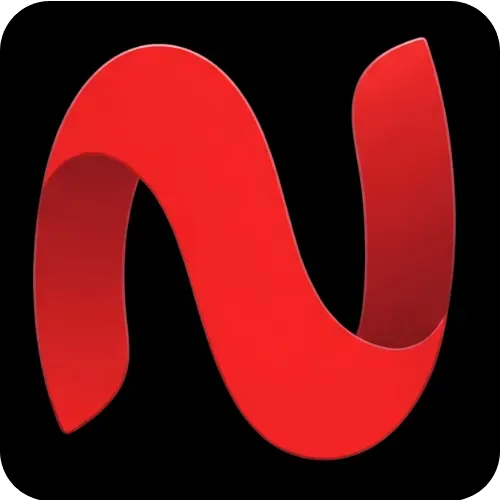 NetMirror logo